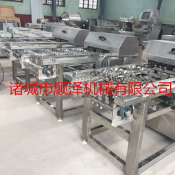 顺泽机械速冻玉米切段机产品报价与设备特性解析