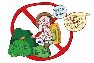 初级农产品原料的食品安全风险与农药管理探讨