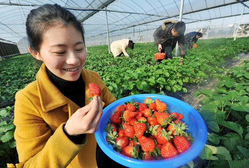 零基础农村电商第一课 创业之初三大定位决定成败，盲目跟风易亏钱（以初级农产品为例）
