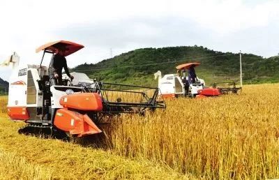 山东实施八大举措，为乡村振兴注入新动能