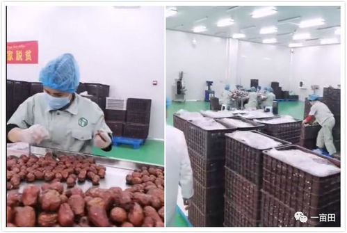 新疆大爷人狠话不多 一个舞步，成交2.6万单农产品，谁说不转行就红不了？